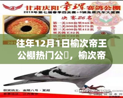 榆次帝王公棚的暖心日常，友情与陪伴的故事 12月1日热门公告揭秘