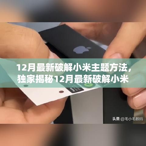 独家揭秘，12月最新小米主题破解方法，轻松定制炫酷界面