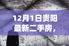 聚焦贵阳最新二手房市场动向，深度观察房地产市场的最新动态