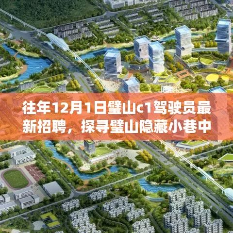 璧山C1驾驶员最新招聘，探寻小巷驾驶梦想，特色小店新篇章