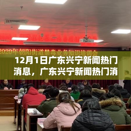 广东兴宁新闻热点深度剖析，新亮点与挑战的探讨（12月1日）