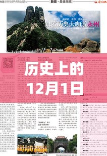 永州市新篇章，文声禄的履职之旅与自然的拥抱