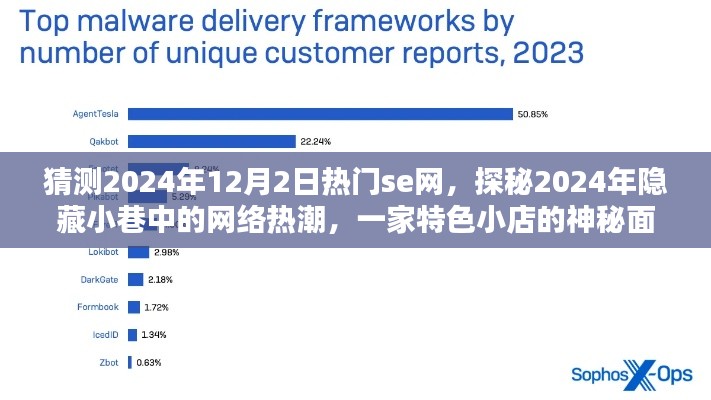 探秘隐藏小巷，2024年网络热潮中的神秘小店与未来热门se网展望