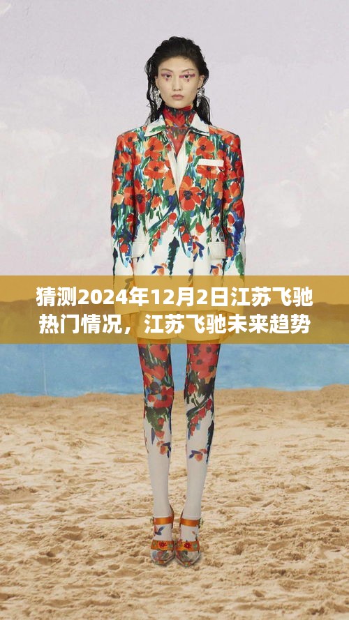 江苏飞驰未来趋势展望，深度评测2024年12月2日热门情况展望与趋势分析
