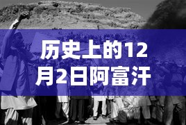 售后流程 第204页