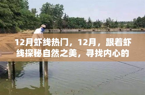 跟着虾线探秘自然之美，12月虾线热门之旅，寻找内心的宁静与平和