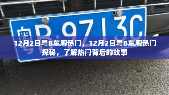 粤B车牌热门背后的故事探秘，揭秘热门背后的真相