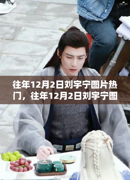 刘宇宁图片热门回顾，深度评测与介绍——历年12月2日精选回顾