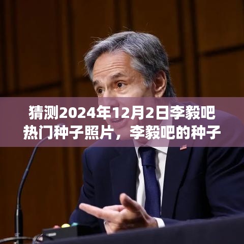 李毅吧热门种子照片揭晓，友情与时光的美好交织，预测2024年12月2日盛况