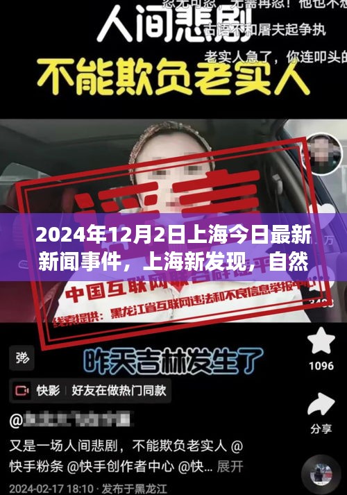 上海新发现，自然之旅的魔力与心灵宁静的港湾——今日最新新闻事件（2024年12月2日）
