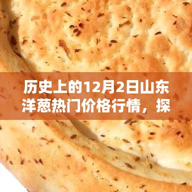 揭秘山东洋葱情缘，历史上的十二月二日山东洋葱热门价格行情深度解析
