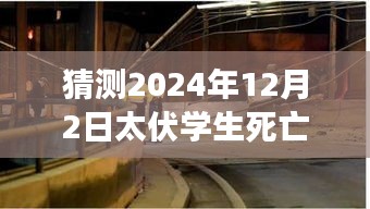揭秘太伏学生死亡事件背后的故事与小巷深处的独特美食小店，2024年最新报道