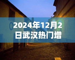 探秘武汉小巷深处的隐藏瑰宝，一家特色小店的独特风情（2024年武汉热门增）