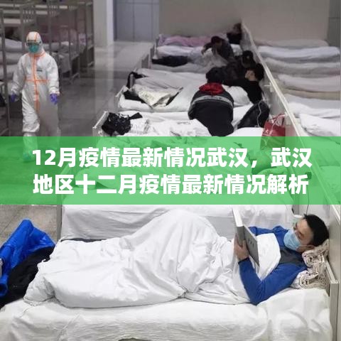 武汉地区十二月疫情最新情况解析与报告