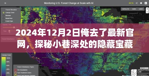 探秘特色小店，走进小巷深处的隐藏宝藏，最新官网带你开启奇妙之旅（2024年12月2日）