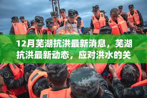 芜湖抗洪最新动态，应对洪水关键步骤与技能指南