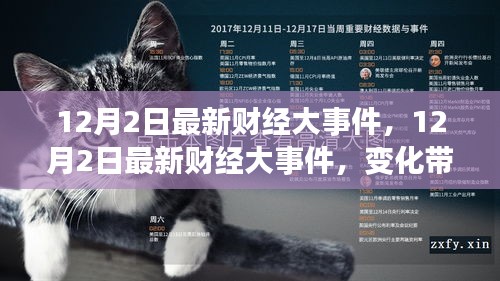 12月2日财经大事件回顾与展望，变化中的自信与潜能激发之旅