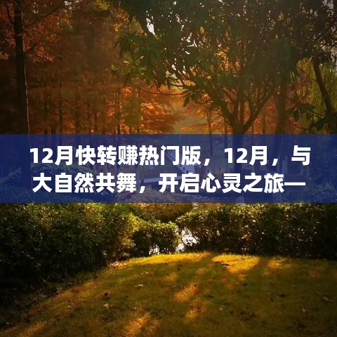 12月快转赚热门版指南，与自然共舞的心灵之旅