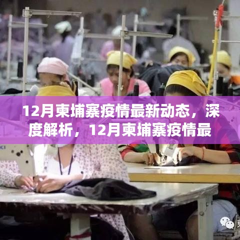 深度解析，柬埔寨12月疫情最新动态与防控措施综合评测报告