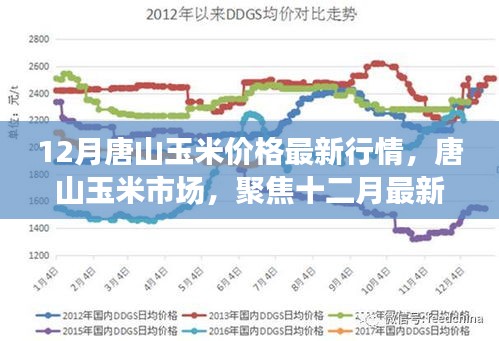 12月唐山玉米市场最新行情及影响力概览
