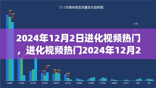 从零开始制作热门视频的完全指南，进化视频热门2024年12月2日