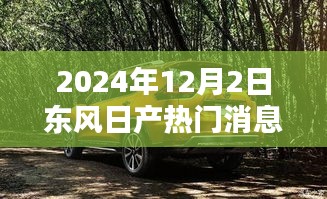 攀高结贵 第4页