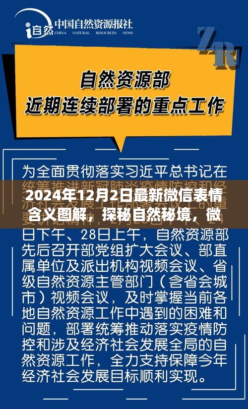 微信表情启示录，探秘自然秘境，启程寻找内心的宁静与平和（图文详解）