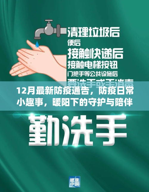 暖阳下的防疫日常，守护与陪伴的小趣事及最新防疫通告