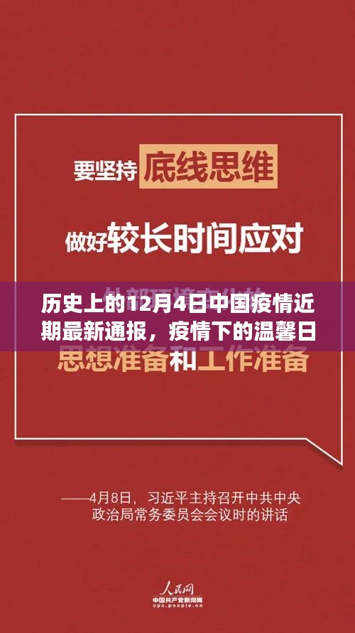 疫情下的特殊故事，十二月四日的温馨日常与最新疫情通报