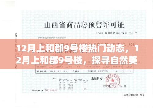 探寻自然美景之旅，上和郡9号楼热门动态，寻找内心的平和宁静在冬季的怀抱中