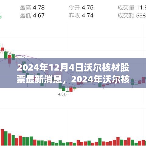 沃尔核材最新动态与行业趋势展望，公司前景展望与股票消息更新