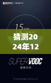 揭秘未来热门照片，霸道总裁风采展望 2024年12月4日独家猜想与风采展示