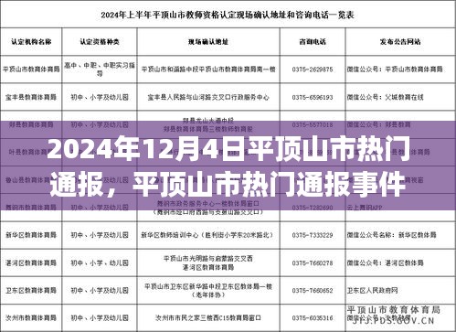 平顶山市热门通报事件深度解析，观点论述与事件回顾（2024年12月4日）
