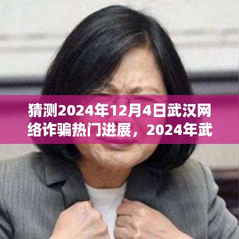 2024年武汉网络诈骗最新进展深度解析，风云变幻中的趋势与挑战