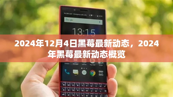 2024年黑莓最新动态概览，行业前沿资讯