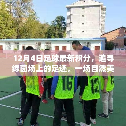 12月4日足球最新积分，绿茵场上的自然美景与足球奇妙之旅