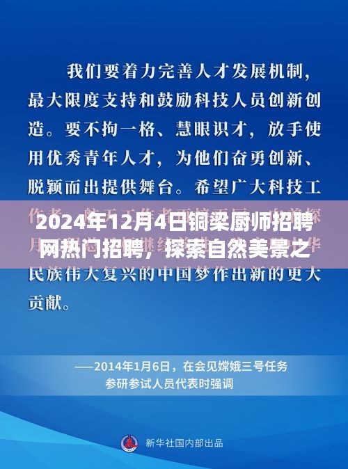 支付方式说明 第196页