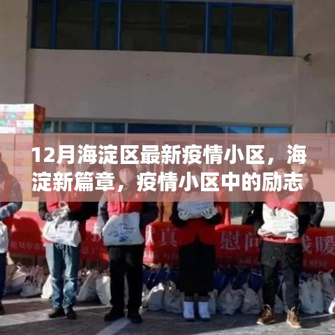 海淀新篇章，疫情小区中的励志故事与温暖之旅（12月最新更新）