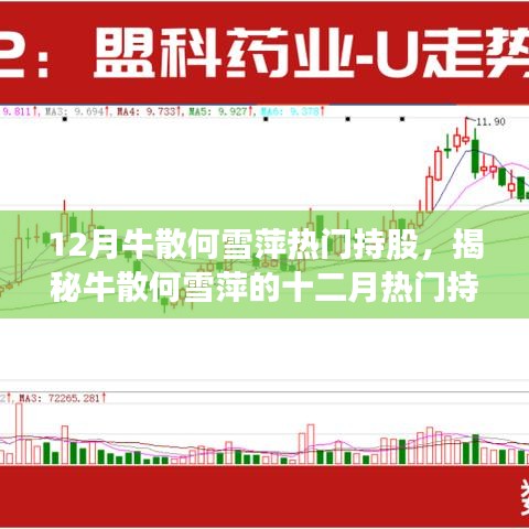 揭秘牛散何雪萍十二月投资策略，热门持股与精准布局的投资风向标