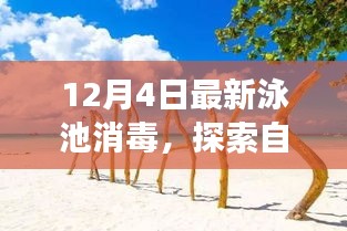 泳池消毒与心灵净化之旅，探索自然美景的奇妙冒险