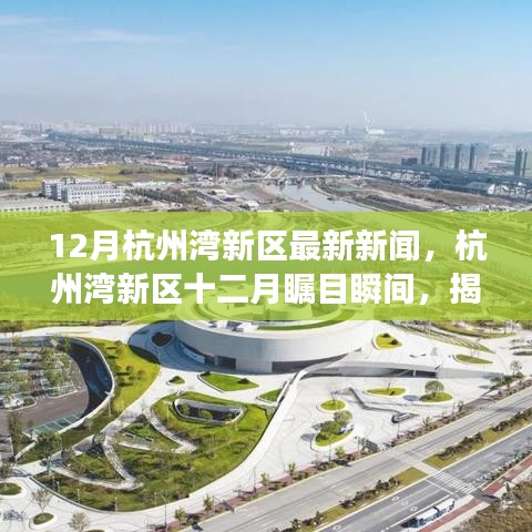 杭州湾新区十二月瞩目瞬间，最新发展动态与地位揭秘