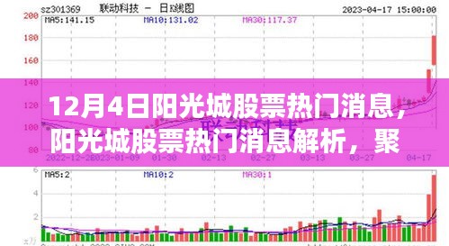 12月4日阳光城股票热门消息解析，聚焦要点，展望趋势