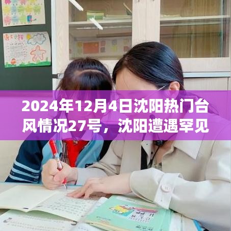 沈阳遭遇罕见台风袭击，记台风27号侵袭沈阳城（2024年秋季）