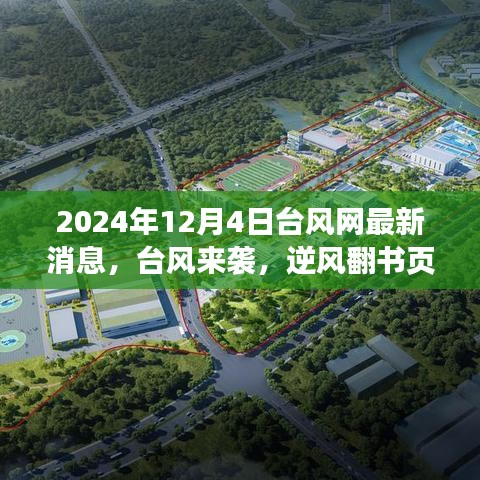 台风来袭下的自信与成就感之舞，最新台风网消息与逆风翻书页的学习变化