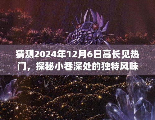 探秘小巷深处的独特风味，高长见热门特色小店故事——2024年必访之地揭秘于十二月六日的高长见热潮