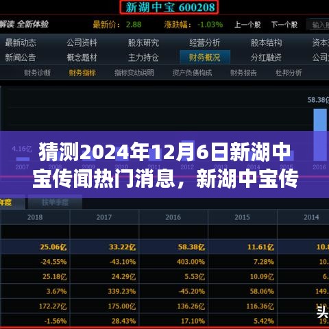 揭秘新湖中宝传闻热门消息，产品特性、用户体验与竞品对比深度评测，预测2024年12月6日动态揭晓！