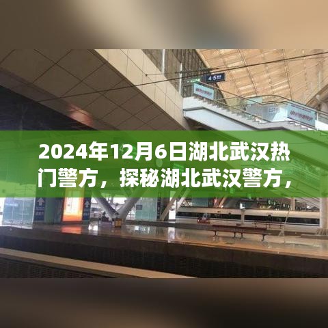 探秘湖北武汉警方热点事件，小红书版全解析（2024年12月6日）