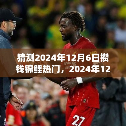 猜测2024年12月6日攒钱锦鲤热门，2024年12月6日攒钱锦鲤热门，预测与观点分析