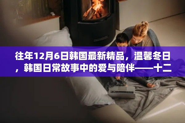 十二月六日的韩国暖心时光，温馨冬日里的爱与陪伴