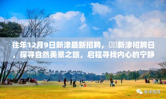 水浄鹅飞 第4页
